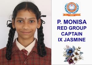 MONISA